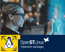 x-linux-qt
