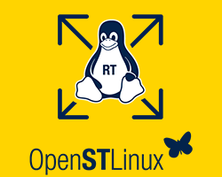 x-linux-rt